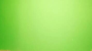 Sandy edge transitioning into a bright green background video