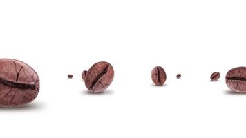 Coffee beans rotate on white background video