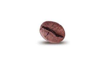 Coffee bean rotates on the white video