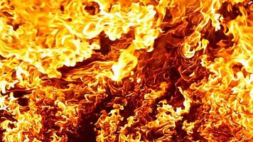 Experience the striking dynamic flames and mesmerizing fire patterns for stunning visual impact video