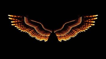 Fire wings on a black background video
