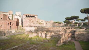 Trajan Forum with ancient ruins and green trees in Rome video