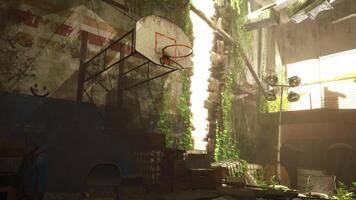 Abandoned basketball court overtaken by nature in a deserted indoor space video