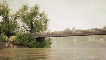 Serene river view featuring a vintage bridge surrounded by lush trees video