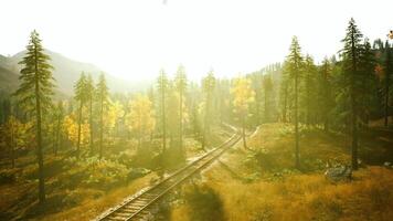 Sunlight filters through trees along the winding railway in autumn mountains video