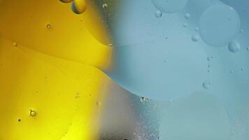 Macro structure of colorful oil bubbles. Chaotic motion. Abstract multicolored background. Pattern video