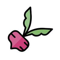A beet is shown in a flat style vector
