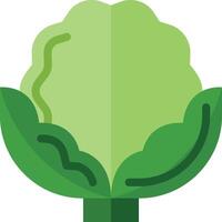 A green cabbage with leaves on it vector