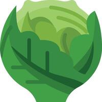 A green cabbage icon on a white background vector