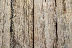 Old wood texture background surface with an old natural pattern photo