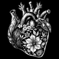 Detailed Anatomical Heart with Botanical Elements in Black and White Illustration vector