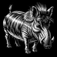 Detailed Black and White Illustration of a Warthog with a Strong Expressive Look vector