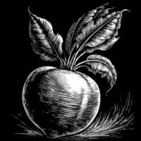 Detailed Black and White Apple Illustration with Leaves on Black Background vector