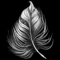 Intricate Black and White Feather Illustration with Detailed Patterns on a Black Background vector