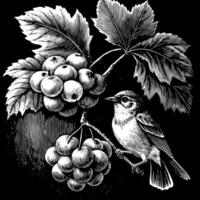 A bird is perched on a branch with grapes vector