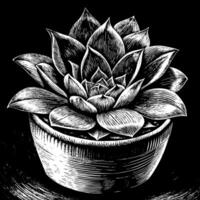 Detailed Monochrome Sketch of a Succulent Plant in a Pot on Black Background vector