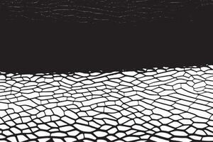 Weathered Black and White Monochrome Texture for Backgrounds and Textured Overlays vector