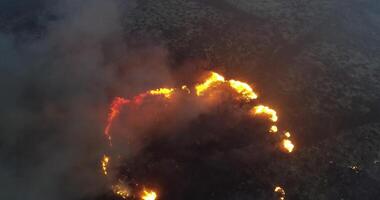An aerial view of a fire burning in the forest video