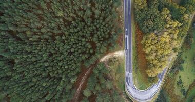 Aerial view of a winding road in the countryside video