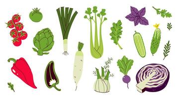 Set of different vegetables isolate on white background. graphics. vector