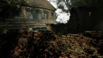 Abandoned stone structure surrounded by trees on a misty day video