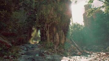 Exploring the lush jungle landscape of Thailand with towering rock formations video