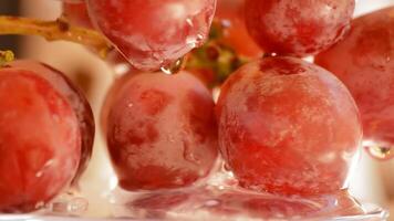 Red grapes, close up. Loop video