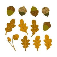 Oak tree leaves and acorns element set. Hand drawn graphics. Autumn season forest objects. vector