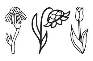A drawing of flowers and a drawing of a flower with the word flowers. vector