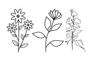 Three simple floral sketches, each featuring different flowers with distinct stems and leaves in a clean, minimalist style. vector
