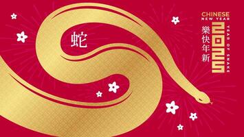 Chinese New Year 2025, celebrating the Year of the Snake. Features a gold snake paired with traditional Chinese motif. Chinese translation Happy chinese new year 2025, year of snake. vector