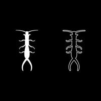 Earwig set icon white color illustration image solid fill outline contour line thin flat style vector