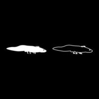 Axolotl ambystoma mexicanum view side set icon white color illustration image solid fill outline contour line thin flat style vector