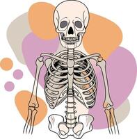 The skeleton is shown in a cartoon style vector
