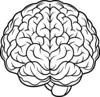 A brain coloring page with a black and white outline vector