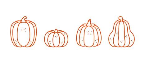 Set pumpkin hand drawn sketch Vegetables illustration, element for labels backdrop, packaging and greeting card. vector