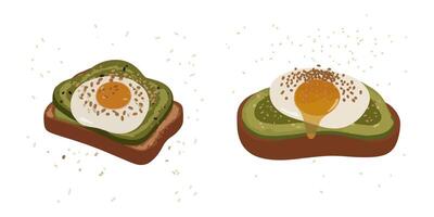 Avocado Toast with Poached Eggs vector