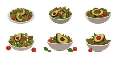 Set of Avocado Salad Bowl vector