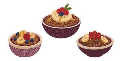 Acai Bowl with Granola and Fresh Fruit Toppings vector