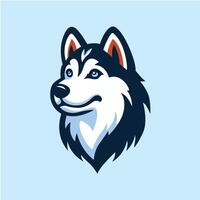 Head of Siberian Husky Dog in front of blue background Can Use as Logo vector
