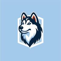 Head of Siberian Husky Dog in line shield and isolated in front of blue background Can Use as Logo vector