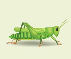 Grasshopper Nature's Leaping Insect and Key Player in the Ecosystem vector