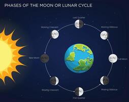 Phases of the Moon Exploring the Lunar Cycle and its Impact on Earth vector