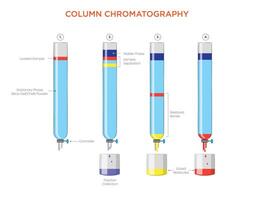 Efficient Separation Technique Column Chromatography vector