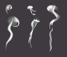 Set of realistic smoke pattern or fire steam effect isolated on dark background. White smoke or misty fog with overlay texture. Transparent smoke or cloud set as weather element. Chimney smoke vector