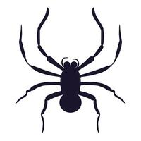 Spider. A black spider with long legs, representing Halloween, creepy crawlies, and fear of arachnids. vector