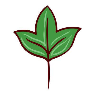 Green leaf with three lobes. Nature, plant, gardening, foliage, fresh, botany, tree, herbal, organic, spring, growth, environment, leaf veins, simple design, eco friendly. illustration