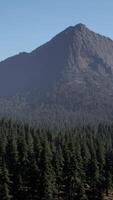 An aerial view of a forest with mountains in the background video