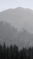 A view of a mountain range with trees in the foreground video