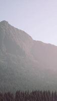 A view of a mountain with trees in the foreground video